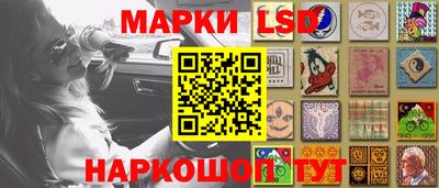 apvp Гатчина