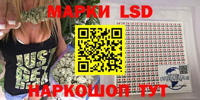 apvp Гатчина