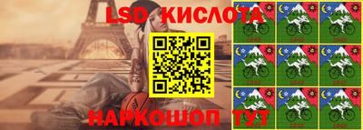 apvp Гатчина