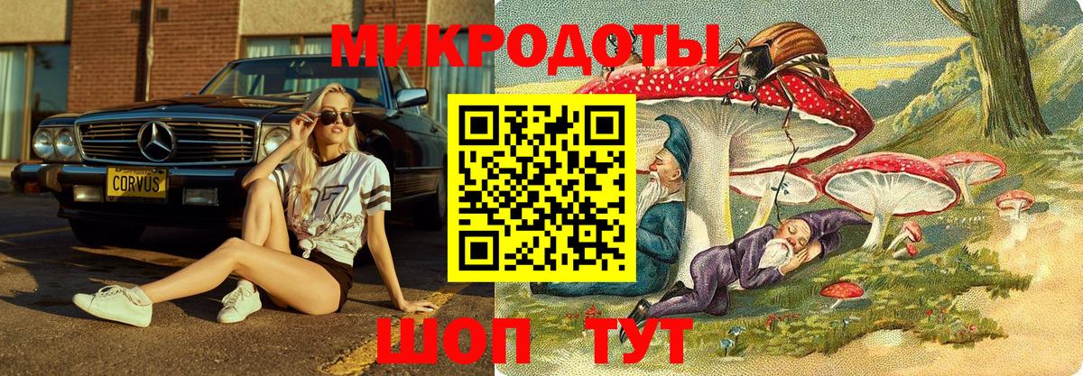 Ковров  Псилоцибиновые грибы Psilocybine cubensis  Вход с VPN 