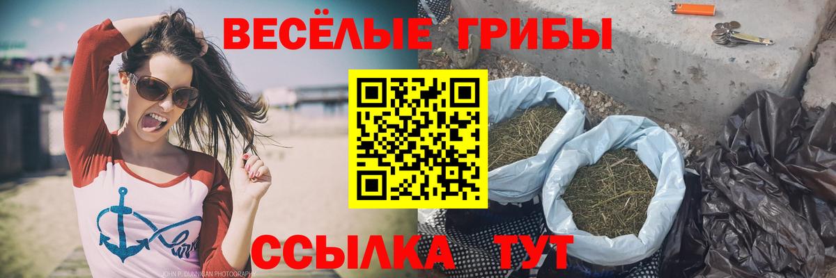 Галлюциногенные грибы Magic Shrooms Ковров